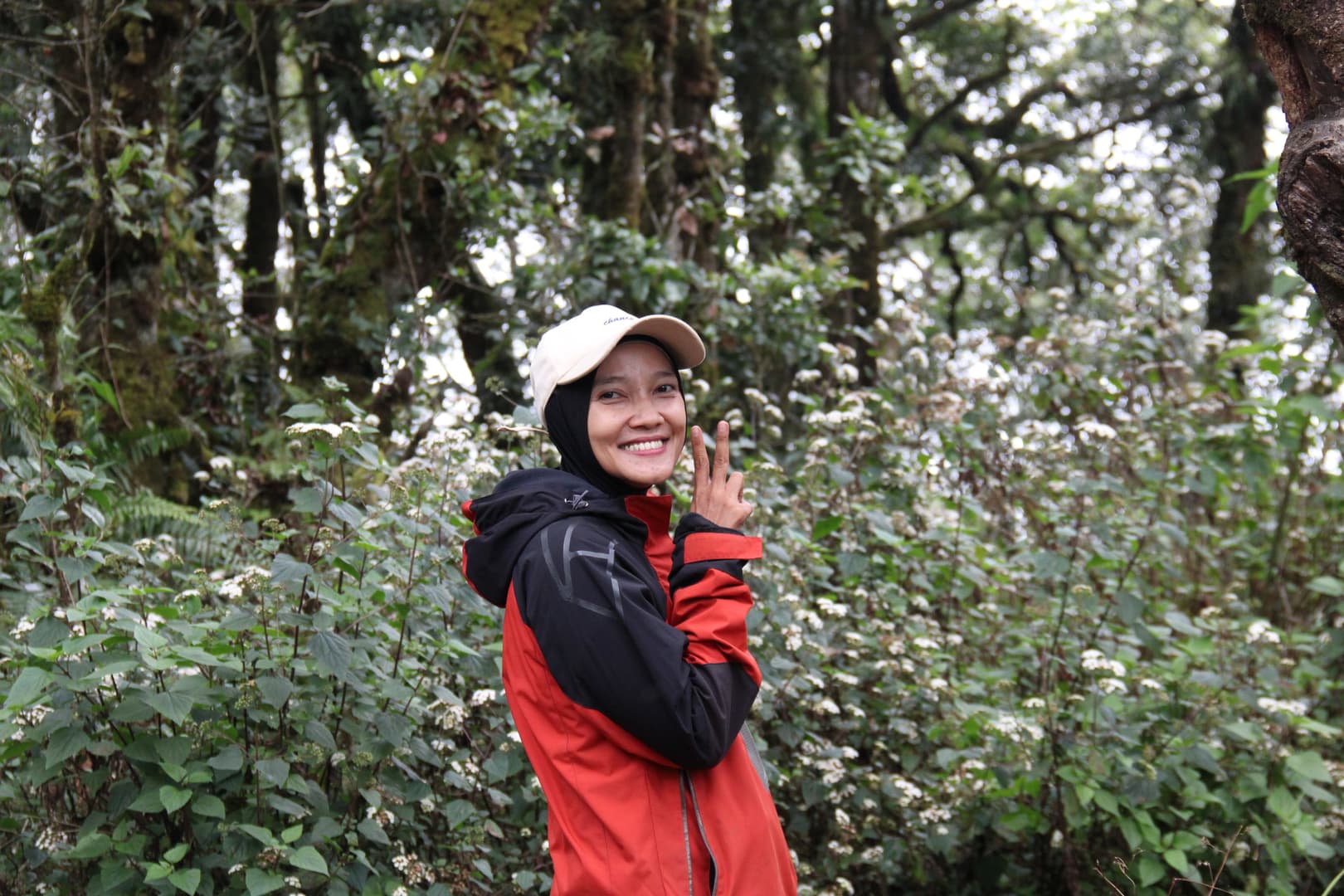 Galeri Hazats Adventure 20